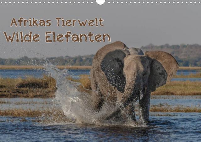 Afrikas Tierwelt - Wilde Elefanten (Wandkalender 2022 DIN A3 quer)