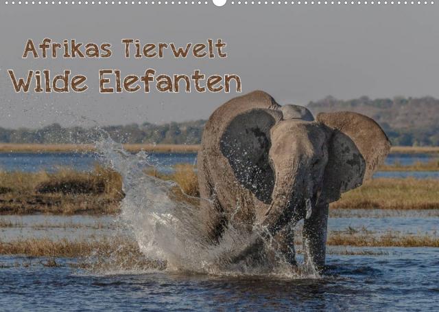 Afrikas Tierwelt - Wilde Elefanten (Wandkalender 2022 DIN A2 quer)