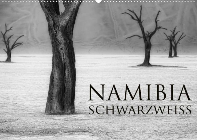 Namibia schwarzweiß (Wandkalender 2022 DIN A2 quer)