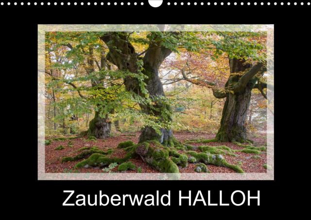 Zauberwald HALLOH (Wandkalender 2022 DIN A3 quer)