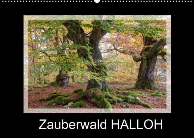 Zauberwald HALLOH (Wandkalender 2022 DIN A2 quer)