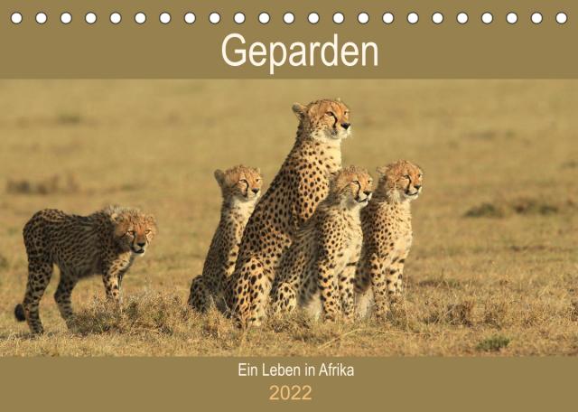 Geparden - Ein Leben in Afrika (Tischkalender 2022 DIN A5 quer)