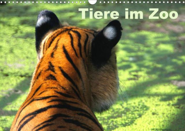 Tiere im Zoo (Wandkalender 2022 DIN A3 quer)