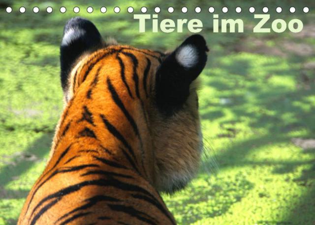 Tiere im Zoo (Tischkalender 2022 DIN A5 quer)