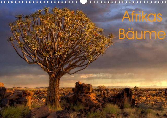 Afrikas Bäume (Wandkalender 2022 DIN A3 quer)