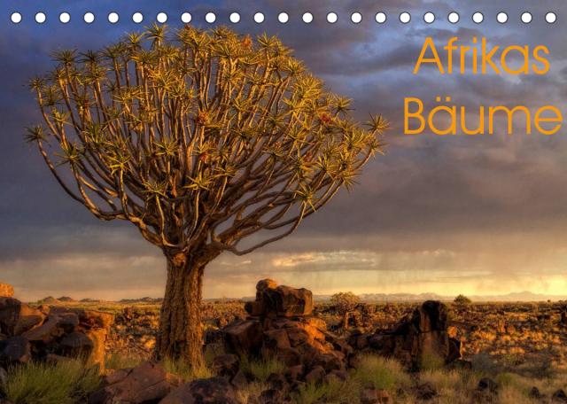 Afrikas Bäume (Tischkalender 2022 DIN A5 quer)
