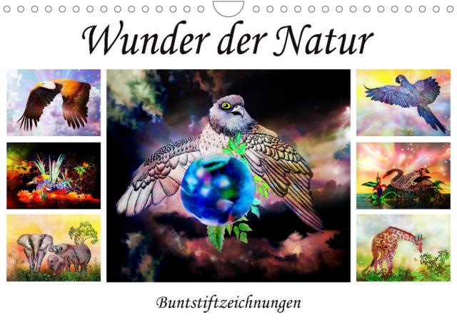 Wunder der Natur - Buntstiftzeichnungen (Wandkalender 2022 DIN A4 quer)