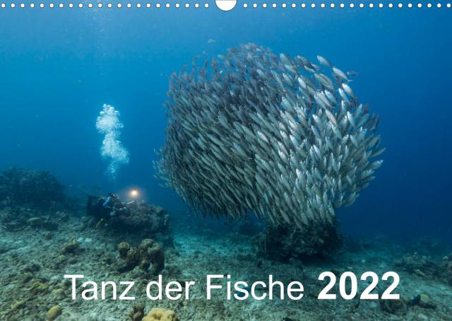 Tanz der Fische (Wandkalender 2022 DIN A3 quer)