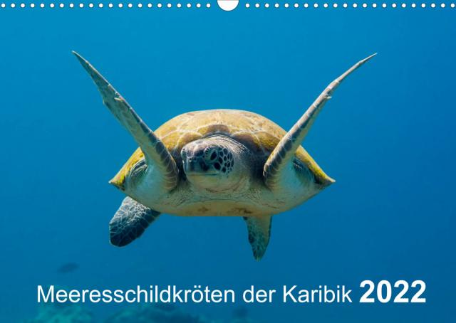 Meeresschildkröten der Karibik (Wandkalender 2022 DIN A3 quer)