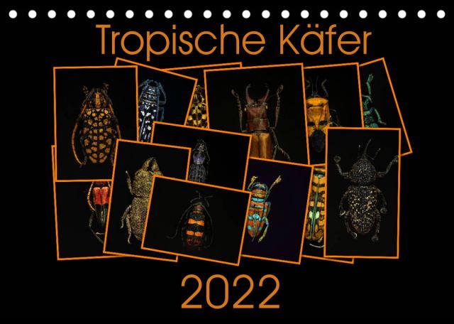Tropische Käfer (Tischkalender 2022 DIN A5 quer)
