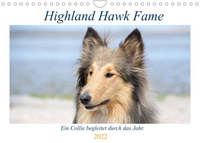 Highland Hawk Fame - Ein Collie begleitet durch das Jahr (Wandkalender 2022 DIN A4 quer)