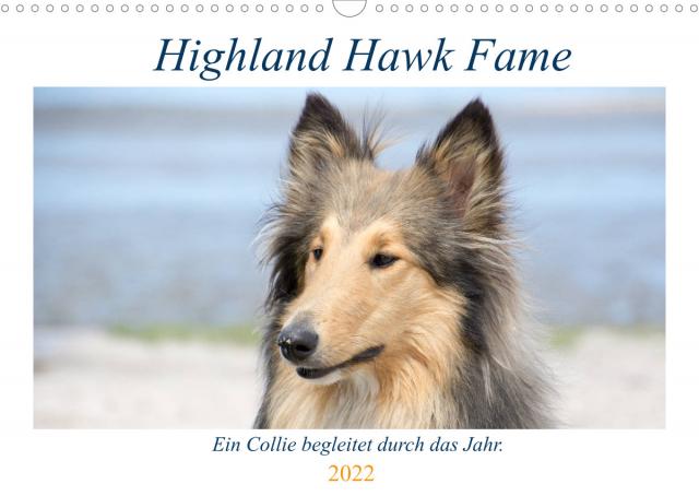 Highland Hawk Fame - Ein Collie begleitet durch das Jahr (Wandkalender 2022 DIN A3 quer)