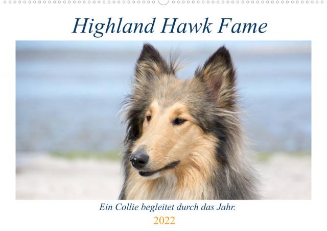 Highland Hawk Fame - Ein Collie begleitet durch das Jahr (Wandkalender 2022 DIN A2 quer)