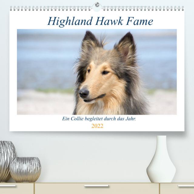 Highland Hawk Fame - Ein Collie begleitet durch das Jahr (Premium, hochwertiger DIN A2 Wandkalender 2022, Kunstdruck in Hochglanz)
