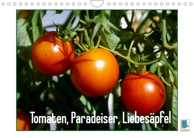 Tomaten, Paradeiser, Liebesäpfel (Wandkalender 2022 DIN A4 quer)