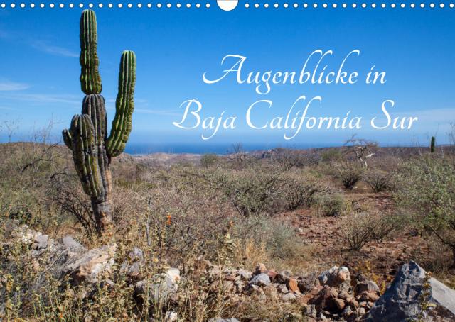Augenblicke in Baja California Sur (Wandkalender 2022 DIN A3 quer)
