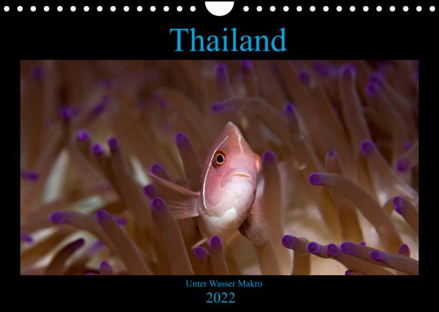 Thailand - Unter Wasser Makro (Wandkalender 2022 DIN A4 quer)