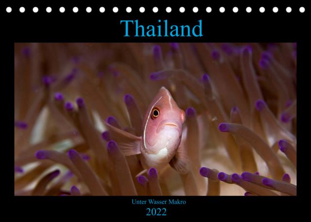 Thailand - Unter Wasser Makro (Tischkalender 2022 DIN A5 quer)