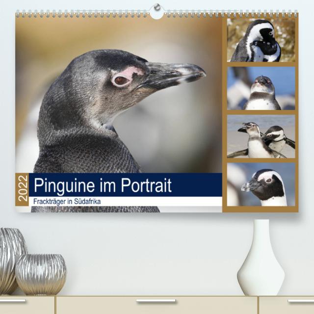 Pinguine im Portrait - Frackträger in Südafrika (Premium, hochwertiger DIN A2 Wandkalender 2022, Kunstdruck in Hochglanz)