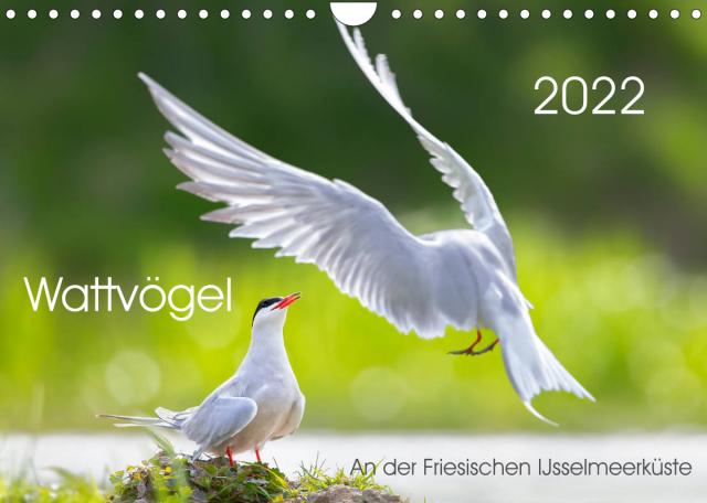 Wattvögel an der Friesischen IJsselmeerküste (Wandkalender 2022 DIN A4 quer)