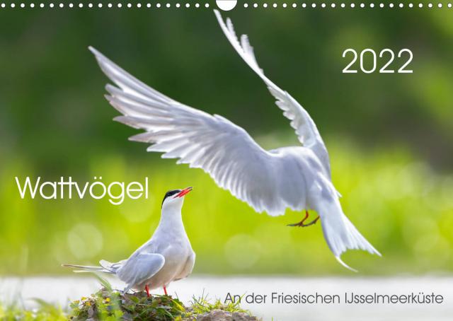 Wattvögel an der Friesischen IJsselmeerküste (Wandkalender 2022 DIN A3 quer)