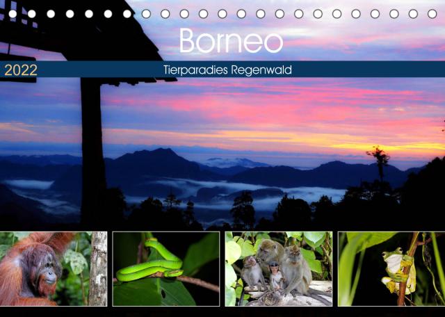 Borneo - Tierparadies Regenwald (Tischkalender 2022 DIN A5 quer)