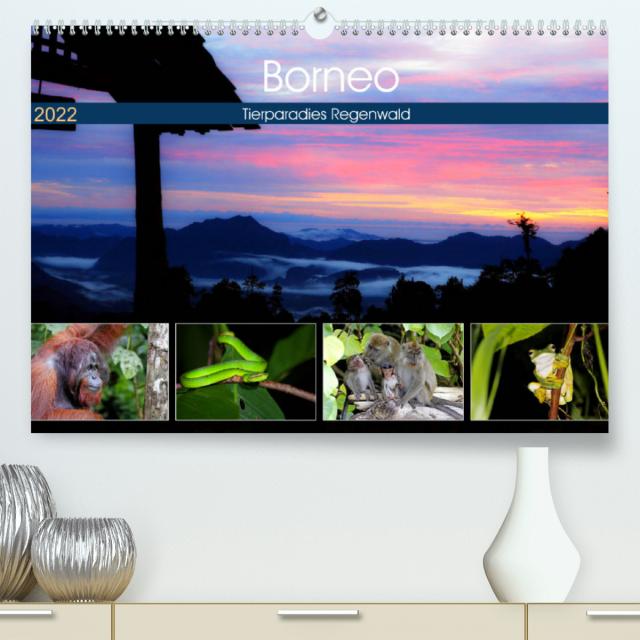 Borneo - Tierparadies Regenwald (Premium, hochwertiger DIN A2 Wandkalender 2022, Kunstdruck in Hochglanz)