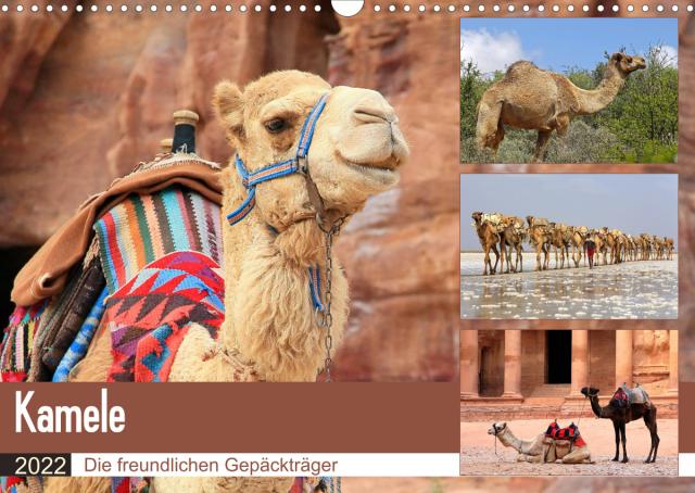 Kamele - Die freundlichen Gepäckträger (Wandkalender 2022 DIN A3 quer)