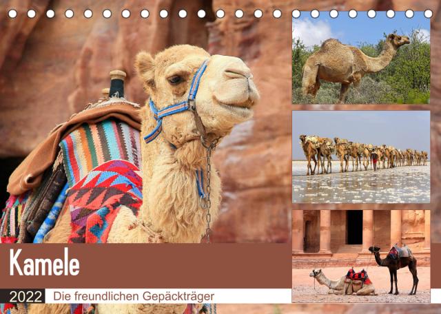 Kamele - Die freundlichen Gepäckträger (Tischkalender 2022 DIN A5 quer)