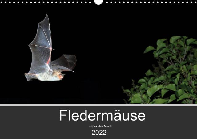 Fledermäuse - Jäger der Nacht (Wandkalender 2022 DIN A3 quer)