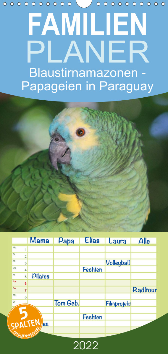 Familienplaner Blaustirnamazonen - Papageien in Paraguay (Wandkalender 2022 , 21 cm x 45 cm, hoch)
