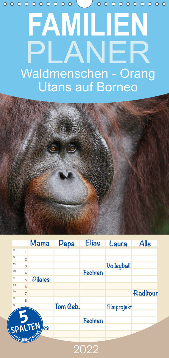 Familienplaner Waldmenschen - Orang Utans auf Borneo (Wandkalender 2022 , 21 cm x 45 cm, hoch)