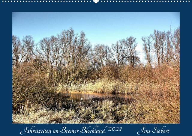 Jahreszeiten im Bremer Blockland (Wandkalender 2022 DIN A2 quer)