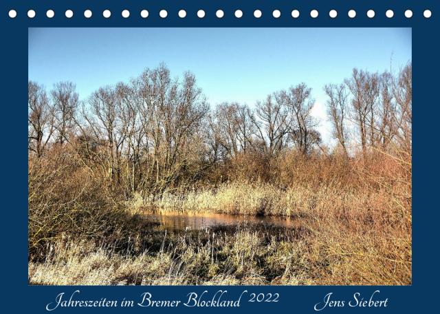 Jahreszeiten im Bremer Blockland (Tischkalender 2022 DIN A5 quer)