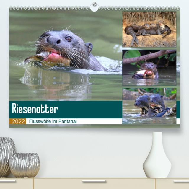 Riesenotter - Flusswölfe im Pantanal (Premium, hochwertiger DIN A2 Wandkalender 2022, Kunstdruck in Hochglanz)