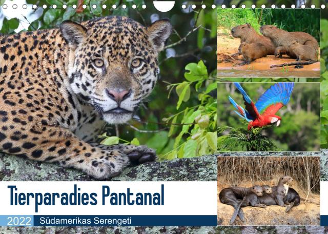 Tierparadies Pantanal (Wandkalender 2022 DIN A4 quer)