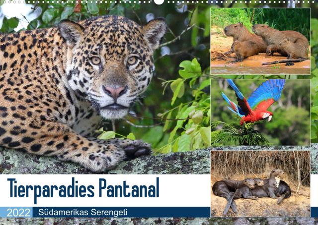 Tierparadies Pantanal (Wandkalender 2022 DIN A2 quer)