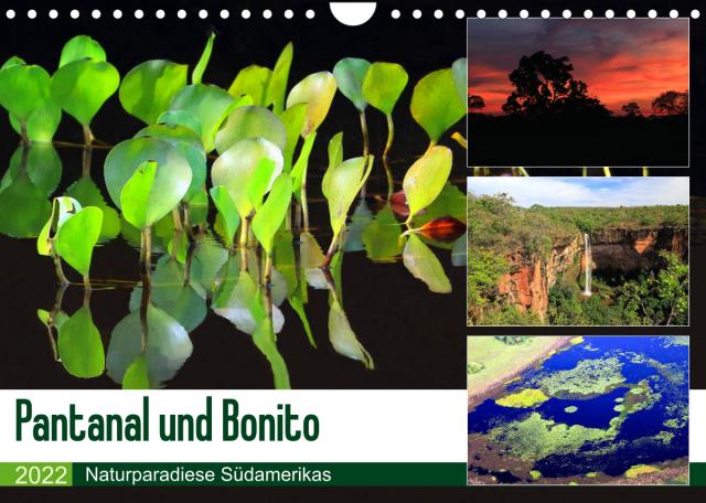 Pantanal und Bonito (Wandkalender 2022 DIN A4 quer)