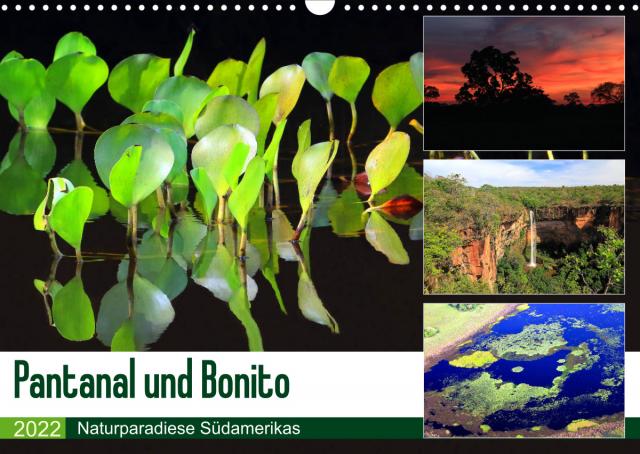 Pantanal und Bonito (Wandkalender 2022 DIN A3 quer)