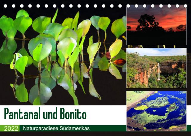 Pantanal und Bonito (Tischkalender 2022 DIN A5 quer)
