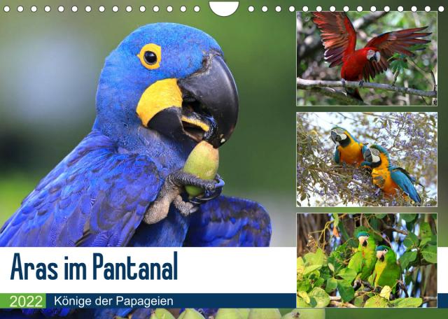 Aras im Pantanal (Wandkalender 2022 DIN A4 quer)