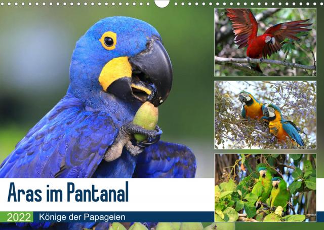 Aras im Pantanal (Wandkalender 2022 DIN A3 quer)