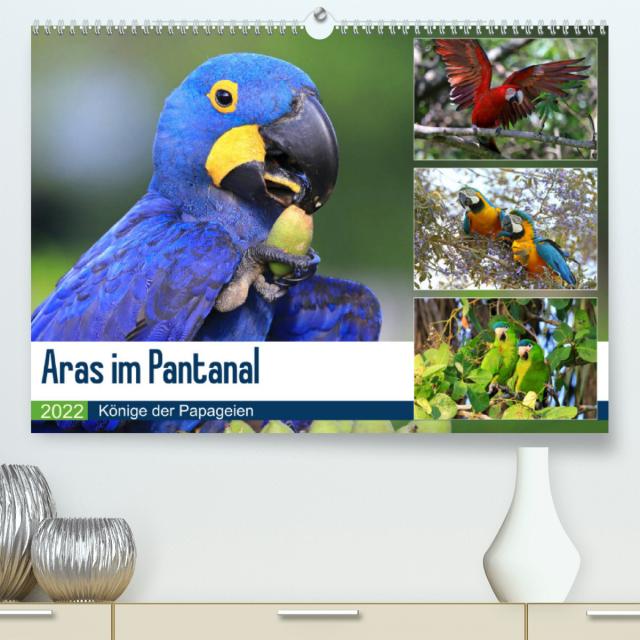 Aras im Pantanal (Premium, hochwertiger DIN A2 Wandkalender 2022, Kunstdruck in Hochglanz)