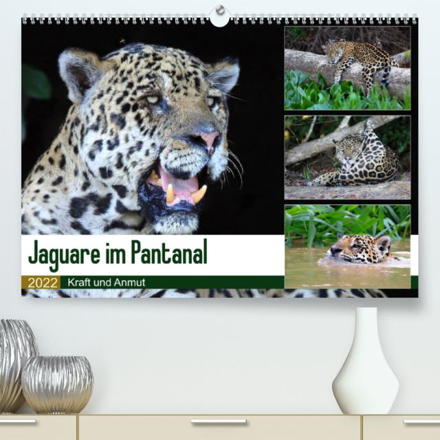 Jaguare im Pantanal (Premium, hochwertiger DIN A2 Wandkalender 2022, Kunstdruck in Hochglanz)
