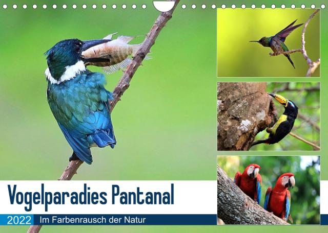 Vogelparadies Pantanal (Wandkalender 2022 DIN A4 quer)