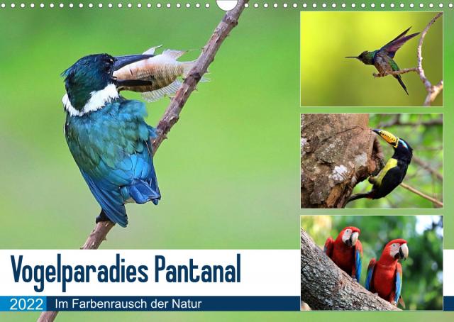 Vogelparadies Pantanal (Wandkalender 2022 DIN A3 quer)