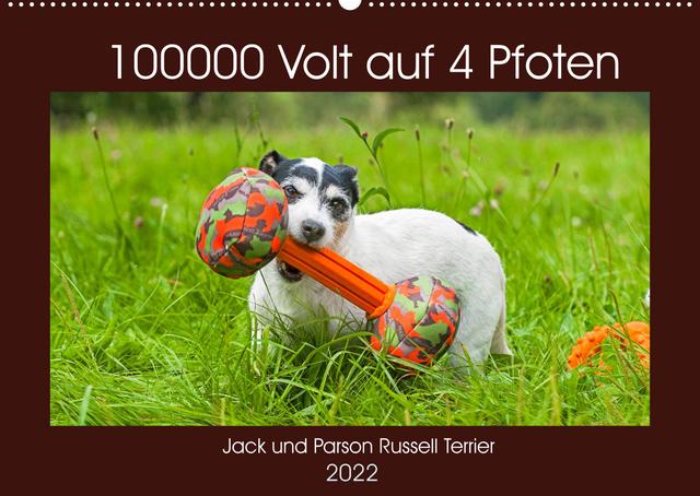 100000 Volt auf vier Pfoten - Jack und Parson Russell Terrier (Wandkalender 2022 DIN A2 quer)