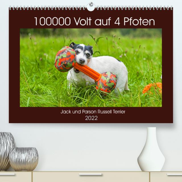 100000 Volt auf vier Pfoten - Jack und Parson Russell Terrier (Premium, hochwertiger DIN A2 Wandkalender 2022, Kunstdruck in Hochglanz)