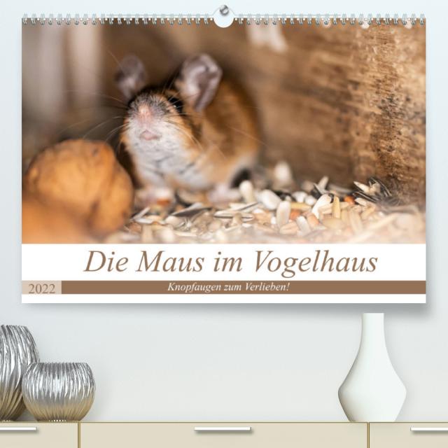 Die Maus im Vogelhaus (Premium, hochwertiger DIN A2 Wandkalender 2022, Kunstdruck in Hochglanz)