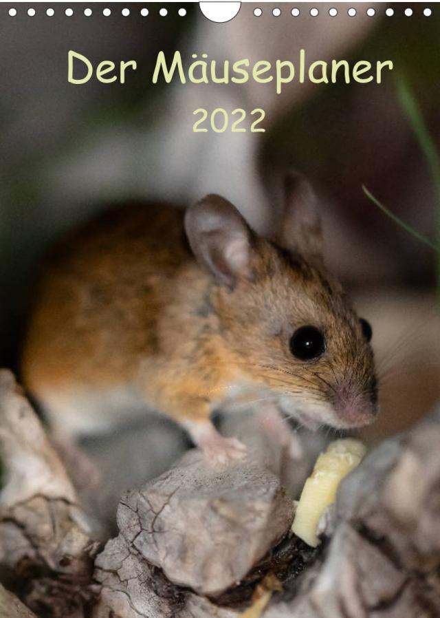 Der Mäuseplaner (Wandkalender 2022 DIN A4 hoch)